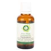 R V Essential Pure Thuja Essential Oil 5ml (0.169oz)- Thuja Occidentalis (100% Pure and Natural Steam Distilled)