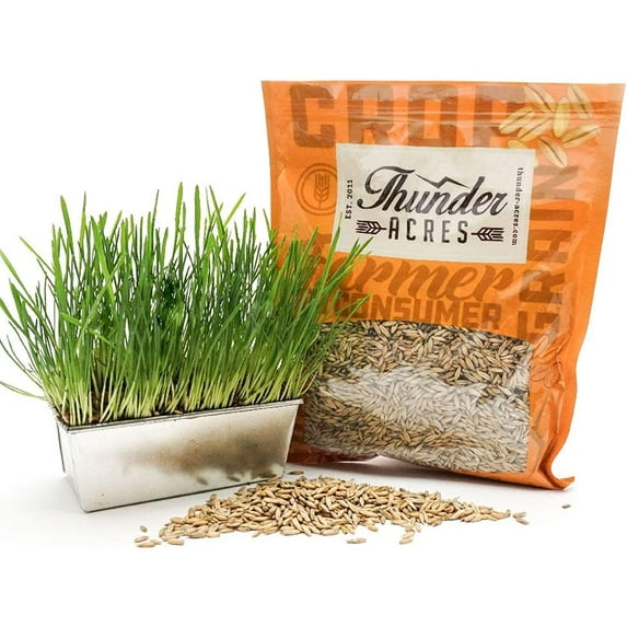 Thunder Acres Non GMO, Certified Organic, Oat Seed