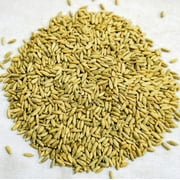 Thunder Acres Organic Winter Rye Seeds, Non-GMO