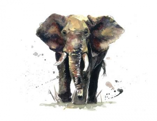 Thunder Canvas Art - Sarah Stokes (22 x 28)