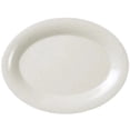 thumbnail image 1 of Thunder Group, AD214WS, Platter, Plastic, 1 of 1