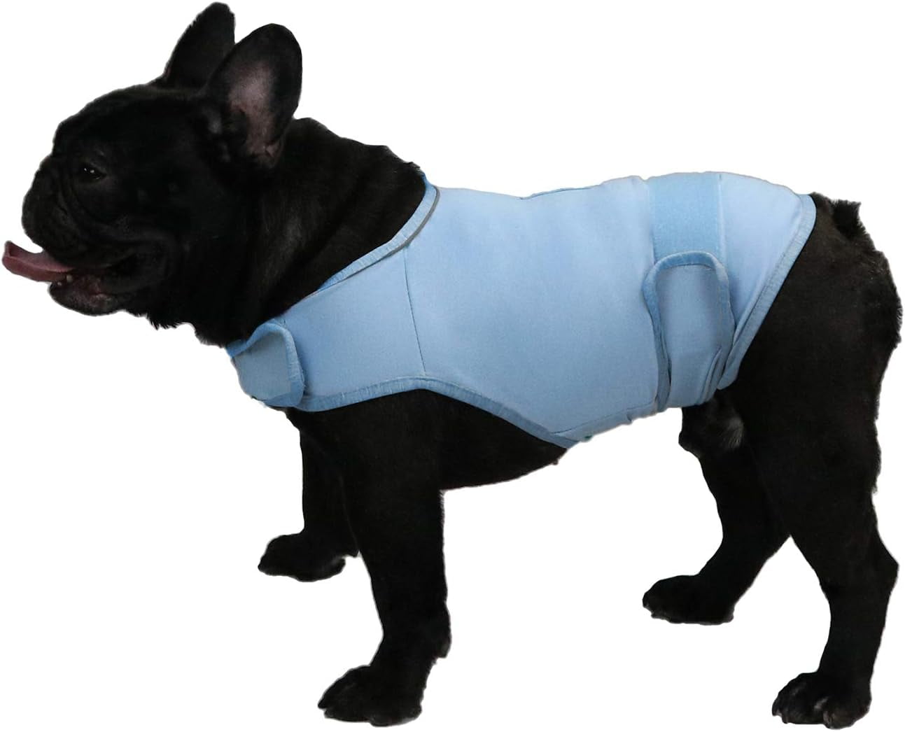 Thunder Jacket for Dogs Anxiety Relief, Dog Anxiety Vest Calming Care