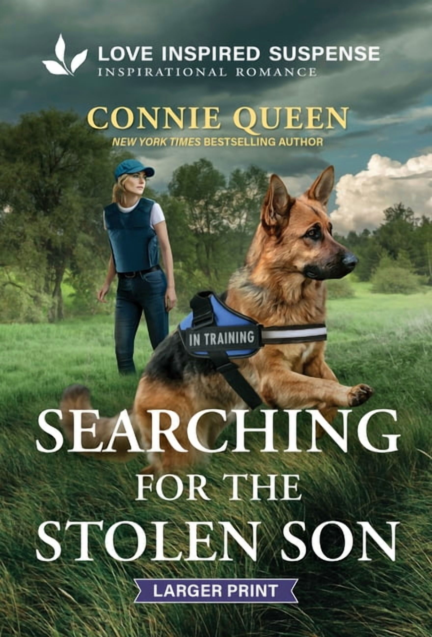 Thunder Ridge Justice Searching for the Stolen Son, (Paperback)