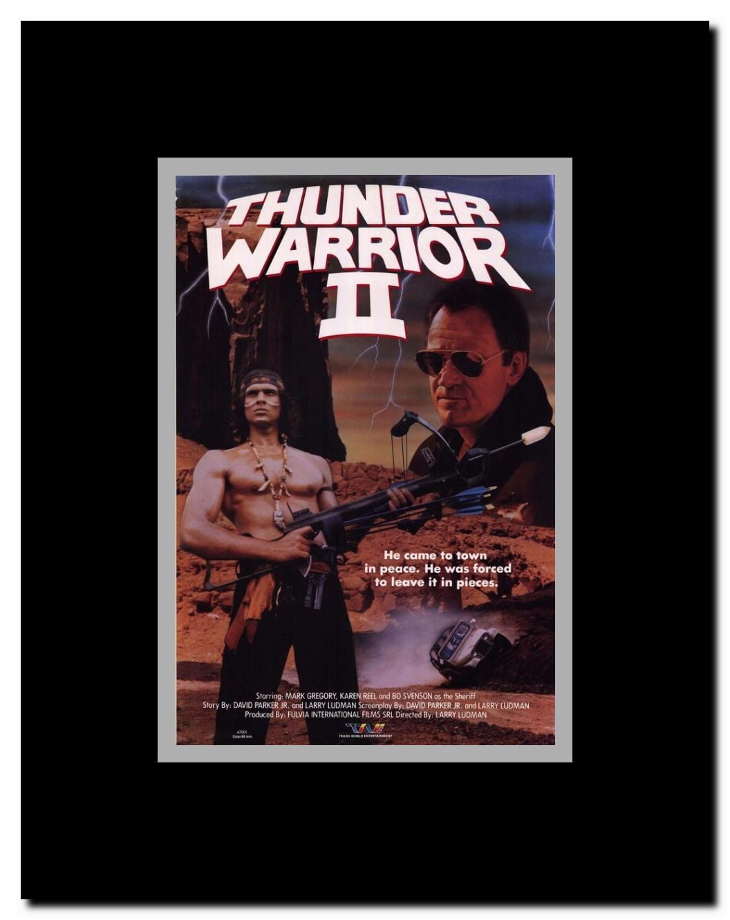 Thunder Warrior 2 Framed Movie Poster