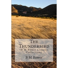 The Thunderbird (Paperback)