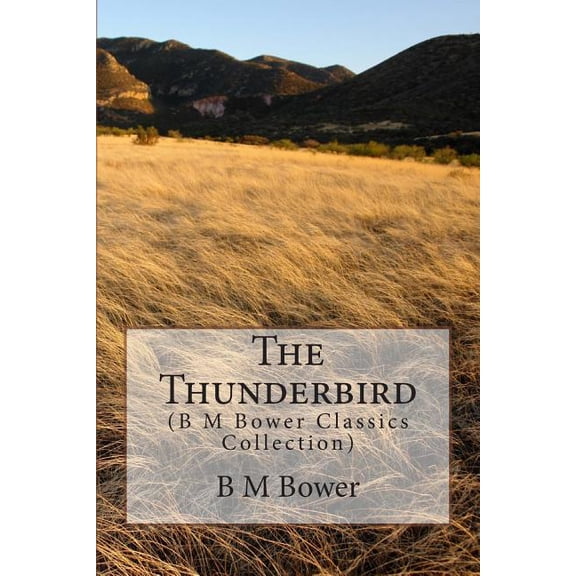 The Thunderbird (Paperback)