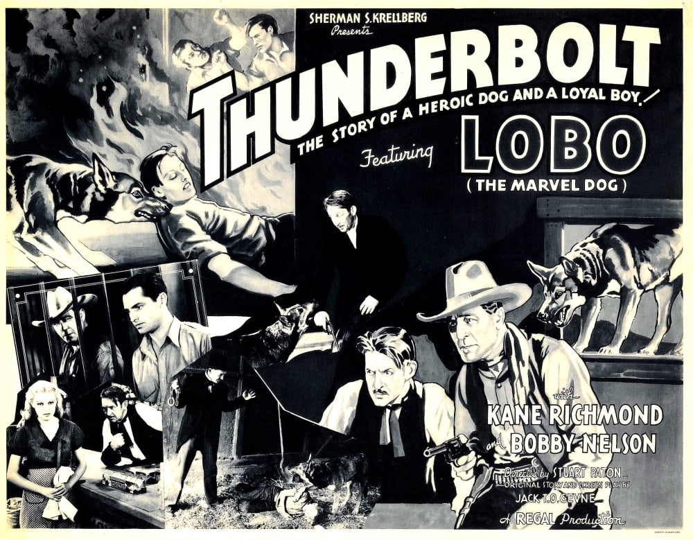 Thunderbolt Canvas Art - (28 x 22)