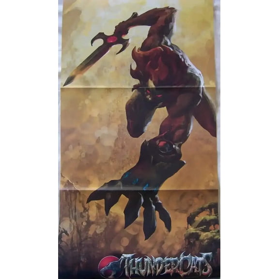 Thundercats Young Justice 2011 SDCC 2 sided poster
