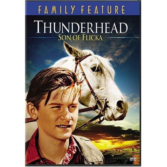 Pre-Owned Thunderhead: Son of Flicka (DVD)