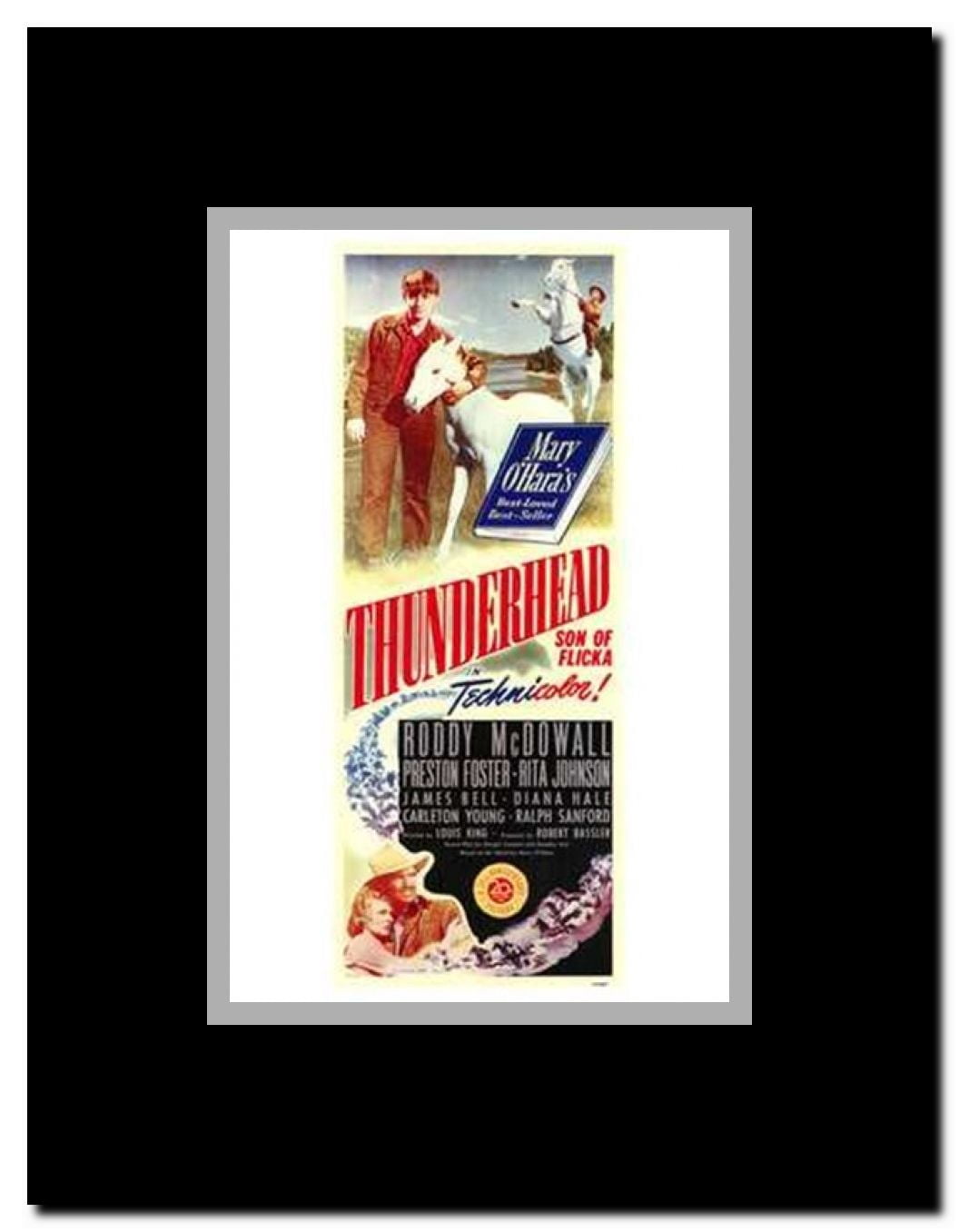 Thunderhead - Son of Flicka Framed Movie Poster