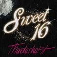 thumbnail image 1 of Thunderheist - Sweet 16 - Electronica - Vinyl, 1 of 1