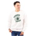 thumbnail image 1 of Thunderstruck Funny Bowling Novelty Unisex Plus Fleece Graphic Sweatshirt Brisco Brands 2X, 1 of 5