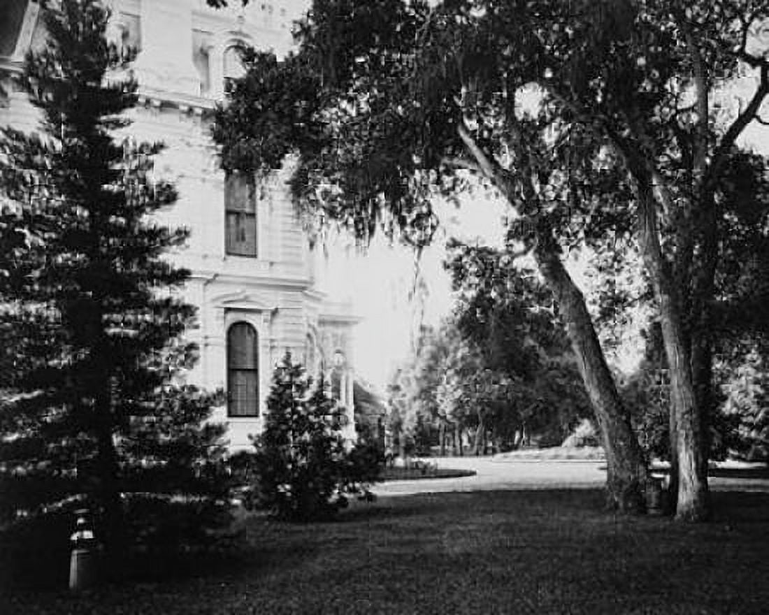 Thurlow Lodge - Lawn and House From Barron Cluster Black and white Canvas Art - Carleton Watkins (24 x 30)