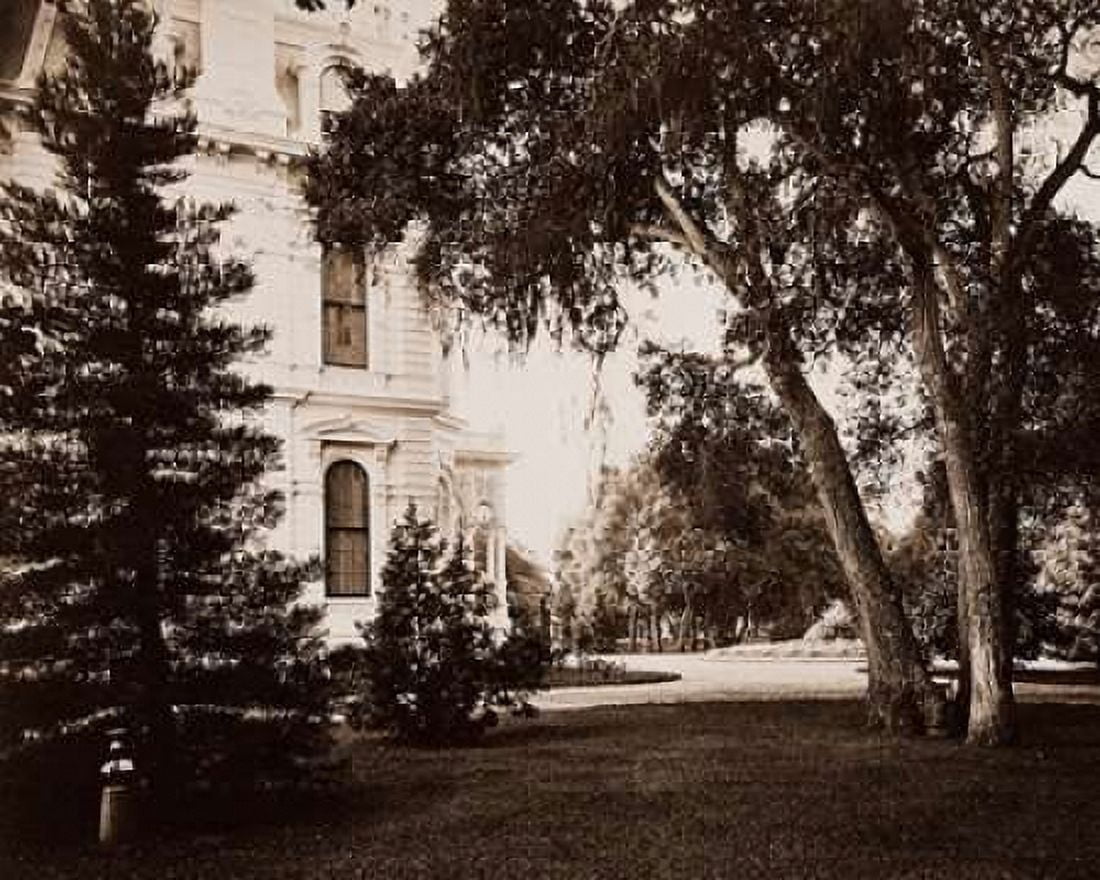 Thurlow Lodge Menlo Park California - Lawn and House 1874 Canvas Art - Carleton Watkins (24 x 30)