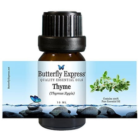 Thyme Essential Oil 10ml - 100% Pure by Butterfly Express
