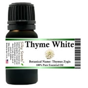 Thyme White Essential Oil 100% Pure and Natural 10 ml (1/3 oz)