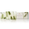 thumbnail image 1 of Thymes Frasier Fir Aromatic Poured Candle Set  2 x 3.75 oz, 1 of 1