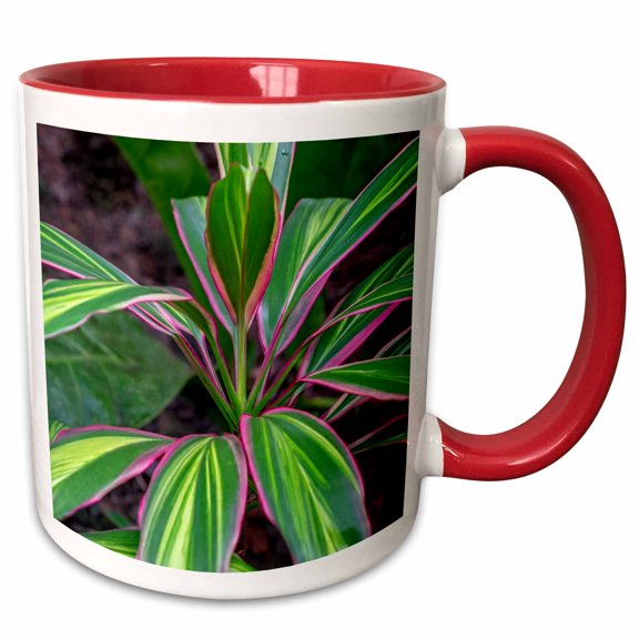 3drose, Ti Plant, Cordyline Fruticosa, 11oz Two-tone Red Mug