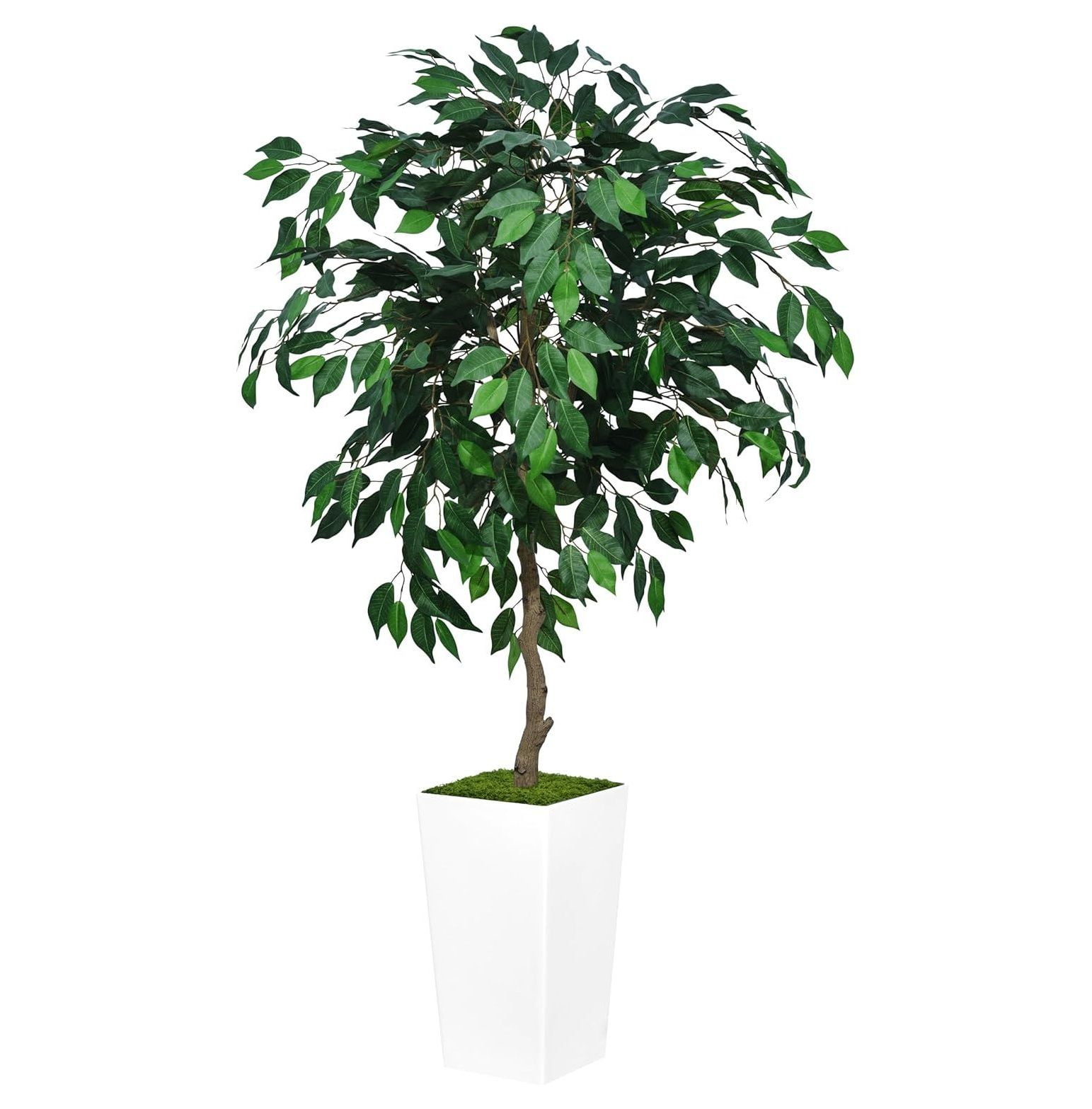 TiaGOC Artificial Ficus Tree 5FT Faux Indoor Tree with White Tall