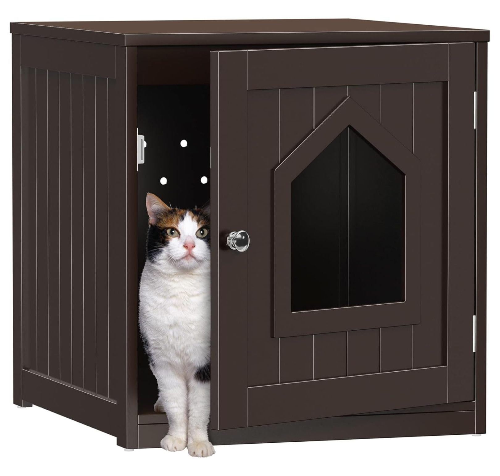 Kennel cat at night hotsell