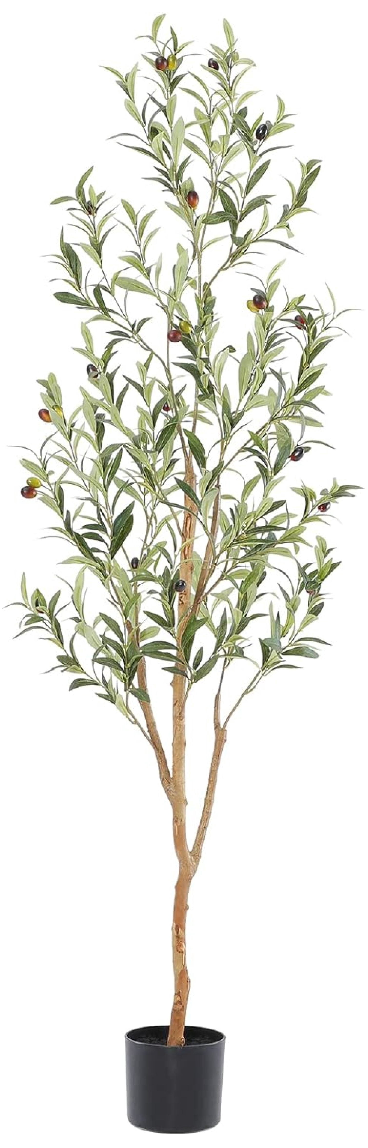 TiaGOC Faux Olive Tree 5ft，Olive Trees Artificial Indoor with Natural ...