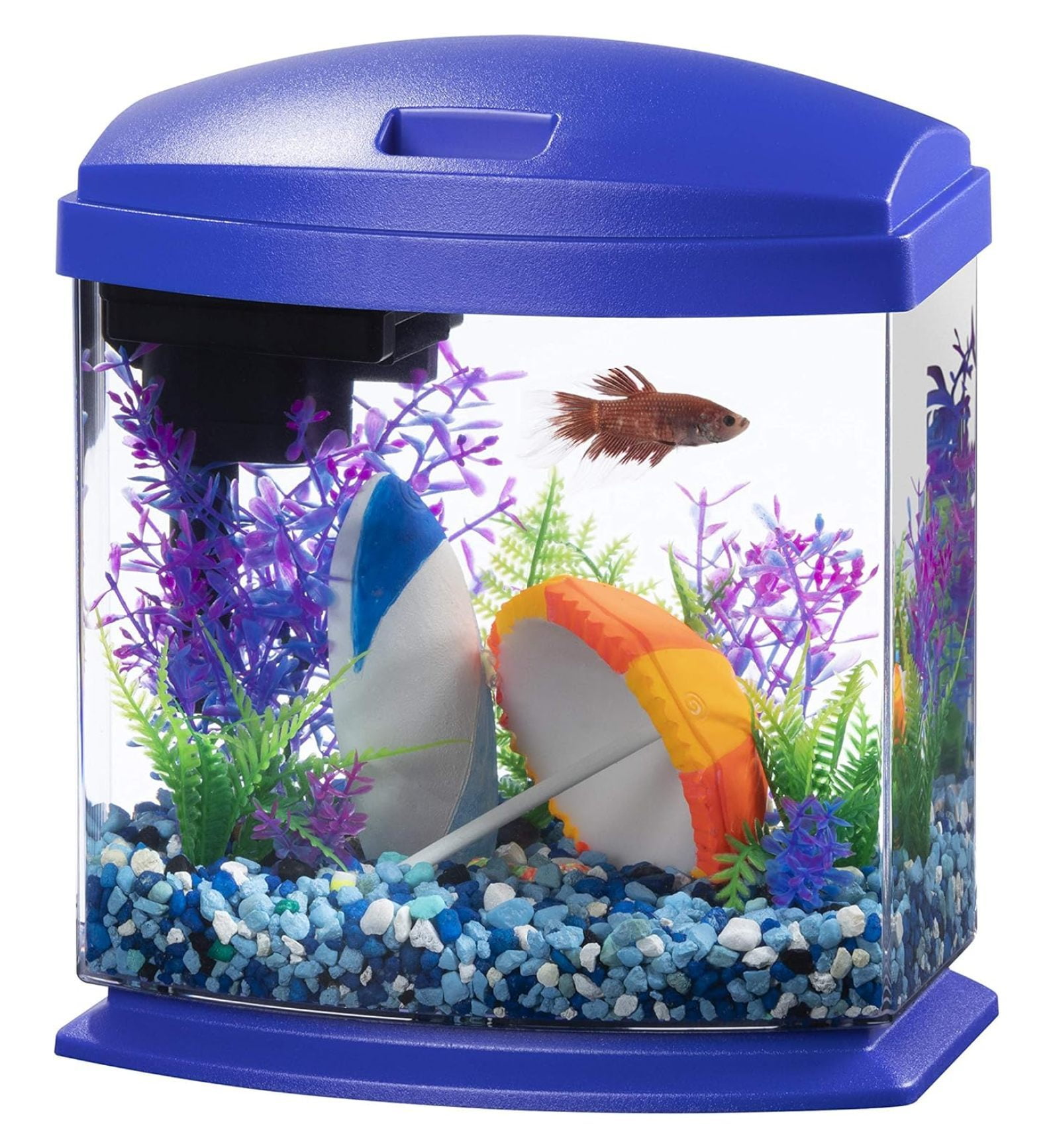 Blue Acrylic Desktop Aquarium with SmartClean Technology, 1 Gallon