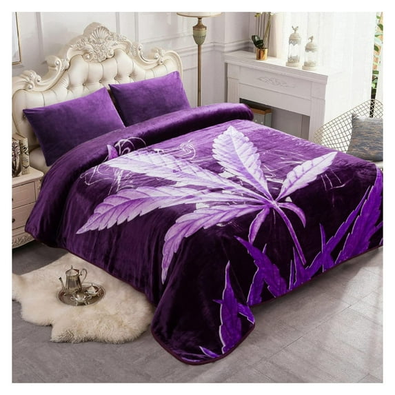 TiaGOC Plush Fleece Blanket Queen Size 91" x 75", 3.7LBs 1 Ply Soft Korean Mink Warm Lightweight Bed Blanket for Autumn Winter
