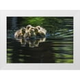 thumbnail image 1 of Tian, Xiaobing 32x24 White Modern Wood Framed Museum Art Print Titled - Cute Baby Canada Geese, 1 of 4