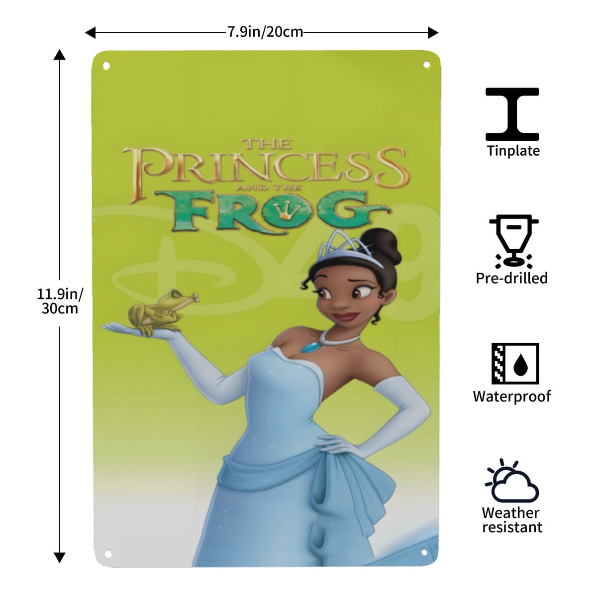 Tiana The Princess and the Frog-themed Tin Painting tin artwork, 8×12 ...