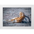 thumbnail image 1 of Tianhuayu 24x17 White Modern Wood Framed Museum Art Print Titled - Hunt, 1 of 4