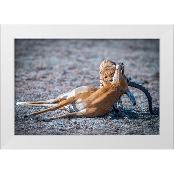Tianhuayu 24x17 White Modern Wood Framed Museum Art Print Titled - Hunt