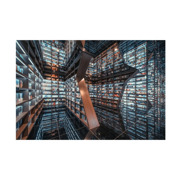 Tianqi 'Cool Bookstore' Canvas Art
