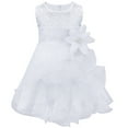 thumbnail image 1 of TiaoBug Baby Girls Sleeveless Organza Tutu Bridesmaid Birthday Princess Dress, 1 of 5