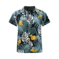 thumbnail image 1 of TiaoBug Kids Boys Button Down Tropical Hawaiian Shirt Short Sleeve Summer Beach Casual T-shirt Type J 160, 1 of 7
