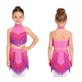 thumbnail image 1 of TiaoBug Kids Girls Latin Dance Outfits Fringe Tassels Halter Backless Crop Top with Mini Skirts Dancewear Hot Pink 8, 1 of 7