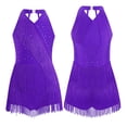 thumbnail image 1 of TiaoBug Kids Girls Shiny Rhinestone Sleeveless Fringe Skirt Gymnastics Leotard Latin Ballroom Dancewear Purple 16, 1 of 6