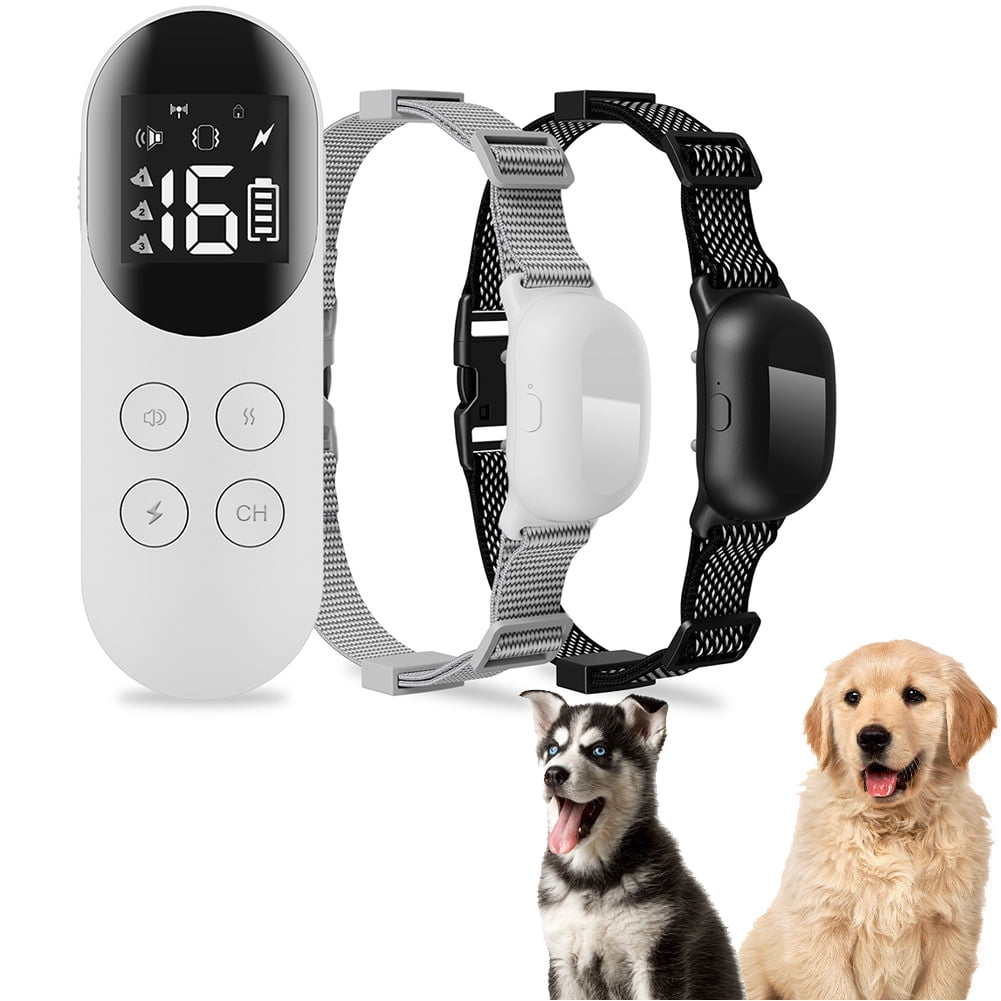 Goodboy small size remote collar discount