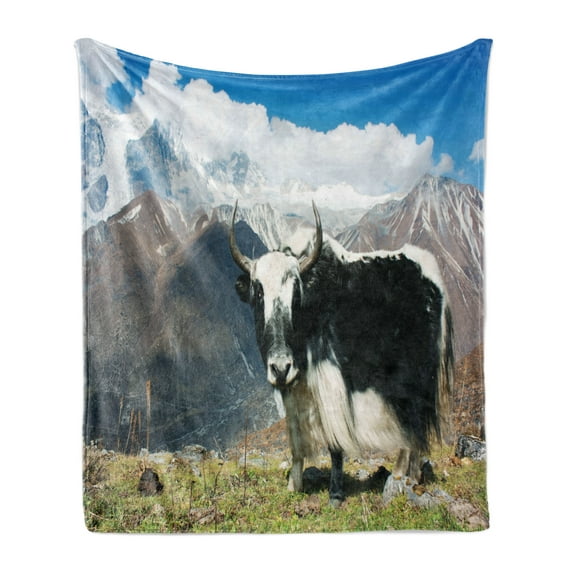 Tibetan Soft Flannel Fleece Blanket, Indigenous Bull in the Mountains Picture Rural Nature Wilderness Agriculture Theme, Cozy Plush for Indoor and Outdoor Use, 60" x 80", Multicolor, by Ambesonne