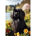 thumbnail image 1 of Tibetan Spaniel Black -  Best of Breed DCR Spring Garden Flag, 1 of 1