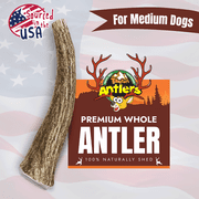 Tibetan Whole Antler Medium Pack Dog Chew, Natural and Long lasting Dog Treats for Dogs under 35 lbs