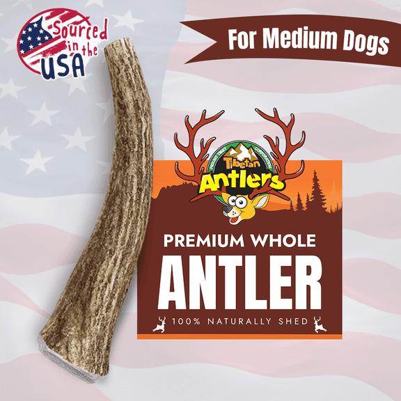 Tibetan Whole Antler Medium Pack Dog Chew, Natural and Long lasting Dog Treats for Dogs under 35 lbs