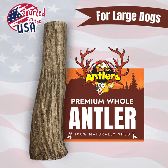 Tibetan Dog Chew Whole Elk Antler, 100% Natural Grain-Free Chew for Large Dogs