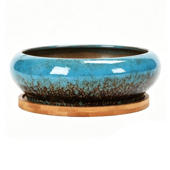 Tibvox Ceramic Succulents Planter Bowl Round Shallow Desktop Pot for Flower Succulents Cactuses Small Plant Decoration