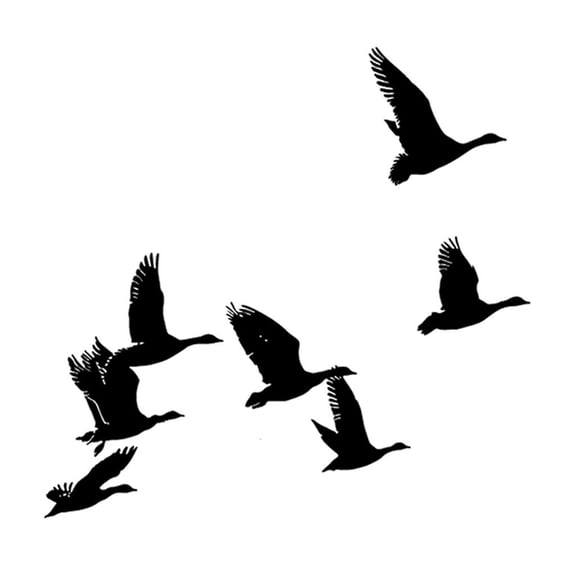 Tibvox Fly Bird Clear Stamp for Card Making DIY Scrapbooking Background Silicone