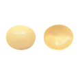 thumbnail image 1 of Ticikt Double Sided Sticky Bra Inserts, Reusable Push Up Adhesive Pads with Padding for Bikini, Swimsuit, Sports Bra, 1 of 4