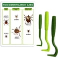 thumbnail image 1 of Tick Remover Value Pack of 3 - Tick Removal Tool + Tick Identification Card - Suitable for Humans, Dogs, and Cats (5 sets, each set contains 3 pieces), 1 of 5