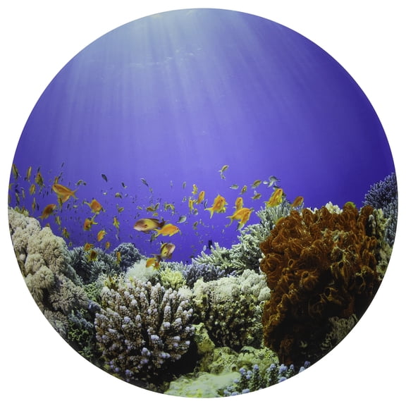 TickiT Under the Sea Discovery Play Mat