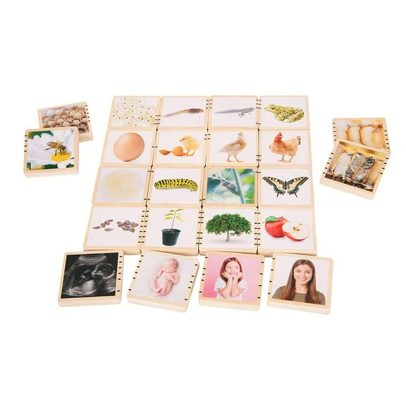 TickiT Wooden Lifecycle Tiles