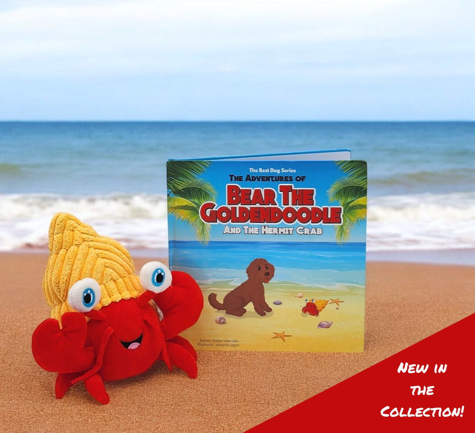 Bear The Doodle Bundle, Tico the Hermit Crab Plush Toy & Book - Bilingual Educational Gift for Kids, Teaches Inclusion, Fun Ocean Adventures, Interactive Storytime Set