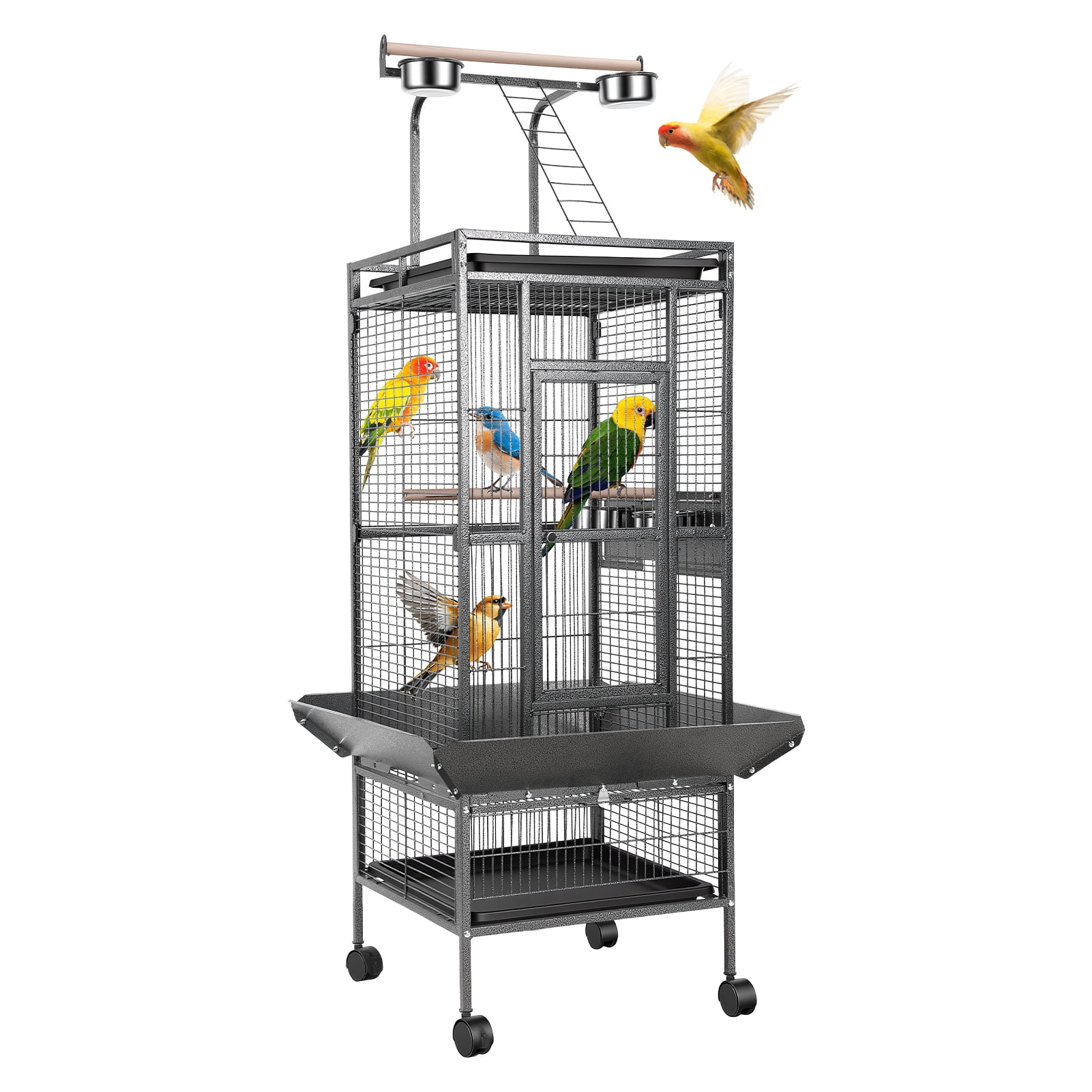 Parrots Lock TidBay 61